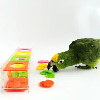 Игрушка для птиц-попугаев Мини Настольная копилка для монет Обучающая игра для интеллекта попугаев Обучающие игрушки для маленьких птиц