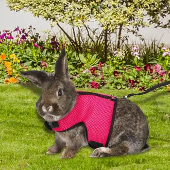 Портативная шлейка для кроликов и поводок, мягкая жилетка для маленьких животных, шлейка и поводок, набор для выгула кролика, котенка, маленького животного.