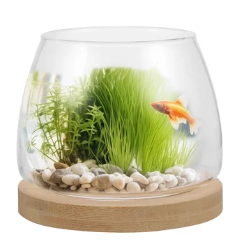 Настольная Аквариумная миска для рыбы из прозрачного стекла, аквариум с рыбками Betta, Террариум для растений, Офисный декор