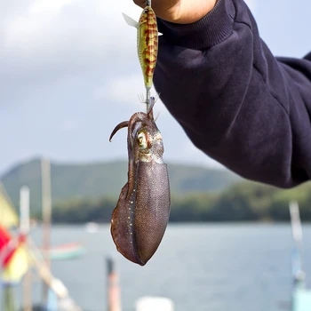 Приманки для ловли осьминога каракатицы Светятся в темноте Искусственная приманка для ночной рыбалки Пресноводная